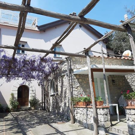 Shedir Apartment Vico Equense Bagian luar foto