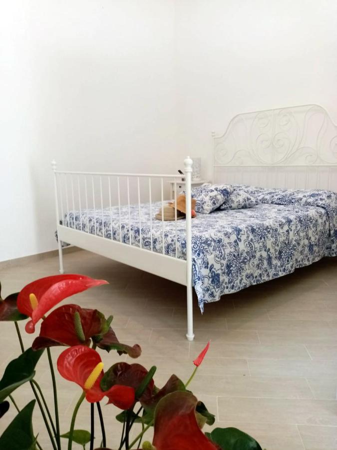 Shedir Apartment Vico Equense Bagian luar foto