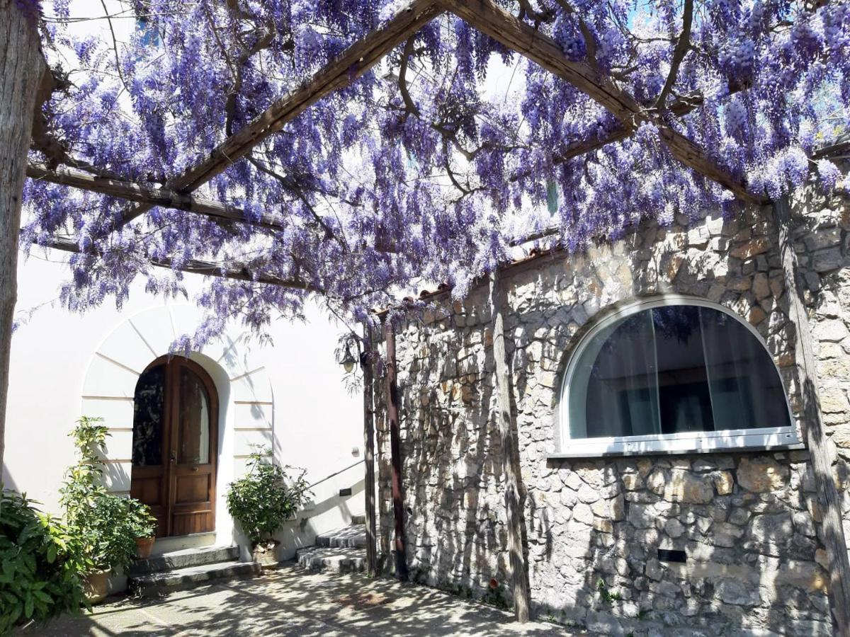 Shedir Apartment Vico Equense Bagian luar foto